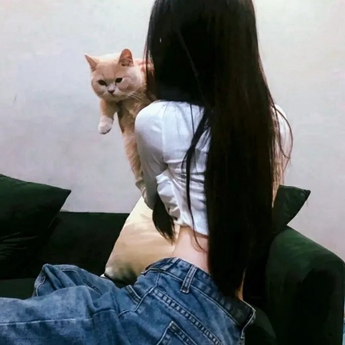 黑侠神剑屠龙